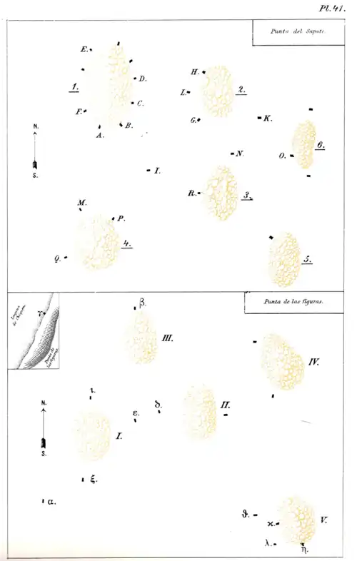 Book Nicaraguan Antiquities scan page 141 Pl 41