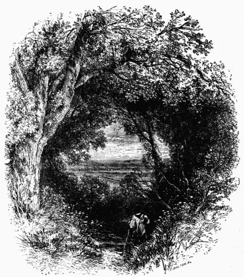 O'ERARCHED WITH OAKS THAT FORM FANTASTIC BOWERS