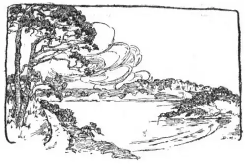 A bay with tall trees on the left, a small cove, with smaller hills curving around to the right and top