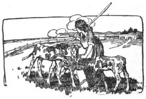 A lady feeding four calves in a field with an open field and a fence in the background