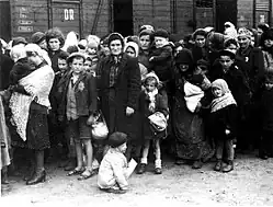 Black and white photograph of Hungarian Jews arriving at the Auschwitz concentration camp in Summer 1944