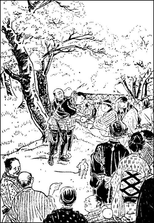 Cherry-flowers at Mukojima.