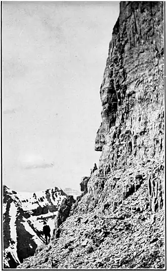 THE PRECIPITOUS CROWN