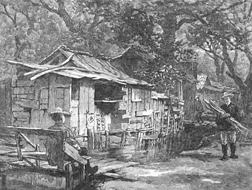 Click on image to enlarge.