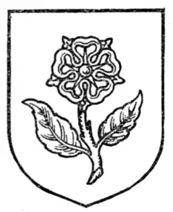 Fig. 492.—Rose slipped and leaved.