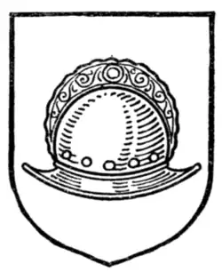 Fig. 541.—Morion.