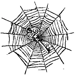 Key on a Spiderweb