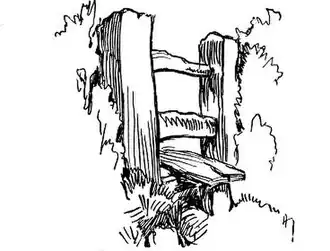 Fig. 67. Choose Simple Subjects