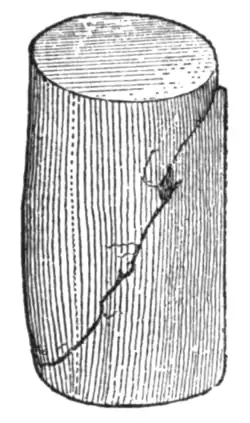 Fig. 24.