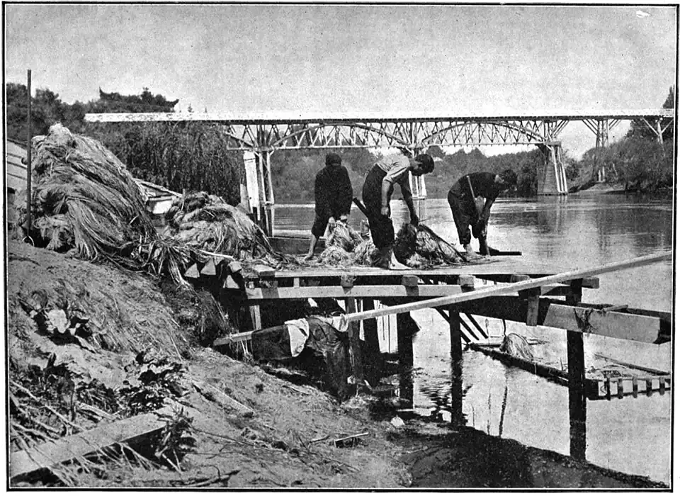 A bridge over a river, with a jetty in the foreground with several piles of flax and three boys washing it