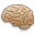 Brain icon