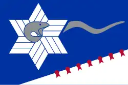 A dark blue field with a white Star of David in the upper left and a white lower right quarter cut diagonally across the flag.
