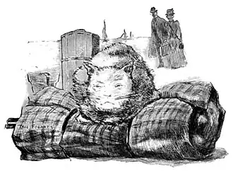 WHAT THE SAILORS BELIEVE.