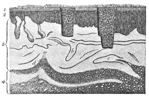 Geological Evidences of the Antiquity of Man Fig. 21a.png