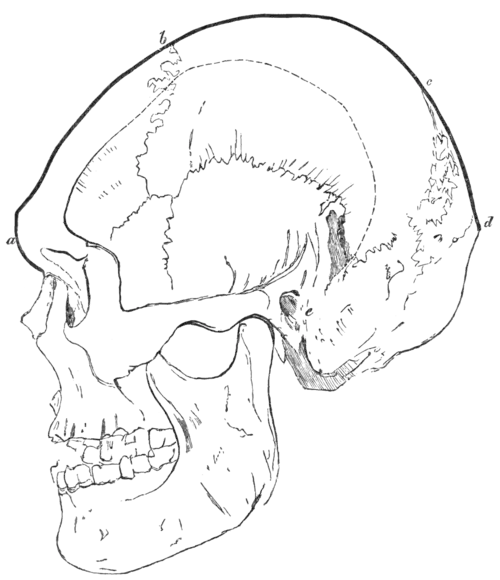 Geological Evidences of the Antiquity of Man Fig. 5.png