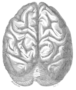 Geological Evidences of the Antiquity of Man Fig. 54.png
