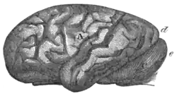 Geological Evidences of the Antiquity of Man Fig. 55.png