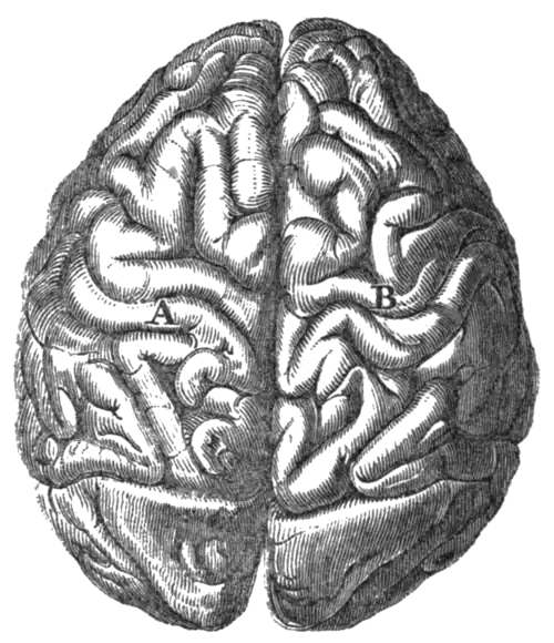 Geological Evidences of the Antiquity of Man Fig. 57.png