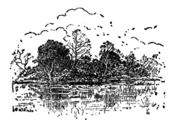 A drawing of trees and clouds