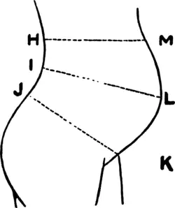 measuring figure for abdominal supporters