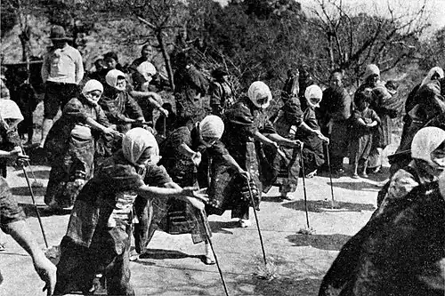 A Step in the Niwaka Dance.