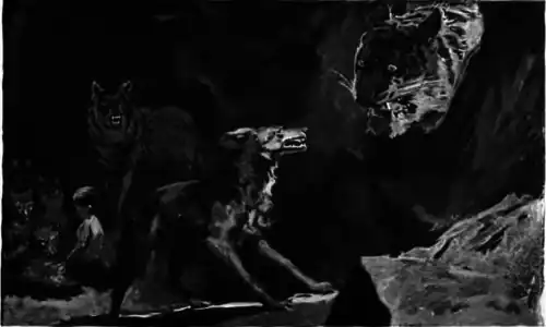 tiger roaring at wolves in cave