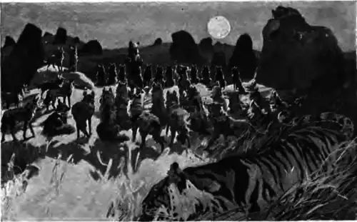 wolves gathering on hilltop, lion watching nearby