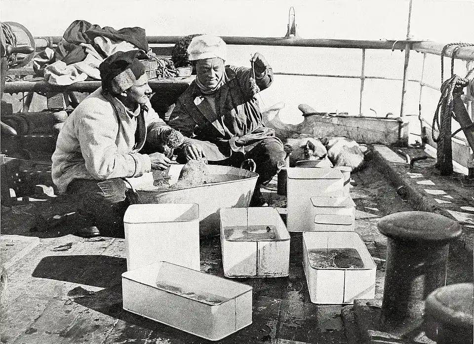 Photograph of two men squatting over specimen containers on a ship's deck