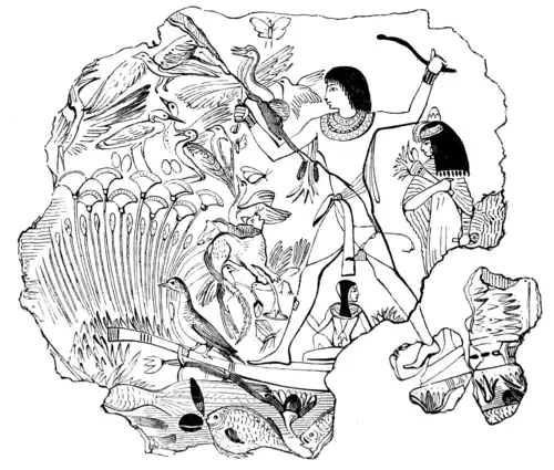 EGYPTIAN FOWLING-SCENE.