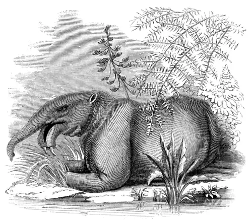 SUPPOSED FORM OF DINOTHERIUM.