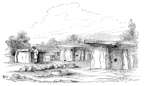 Nature, volume 1, 0118b.png