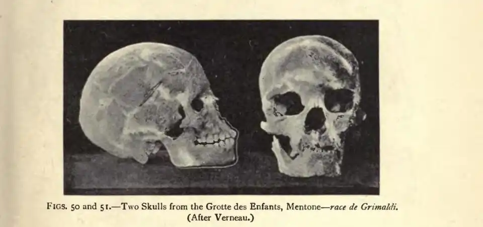 figure(s): 50 and 51