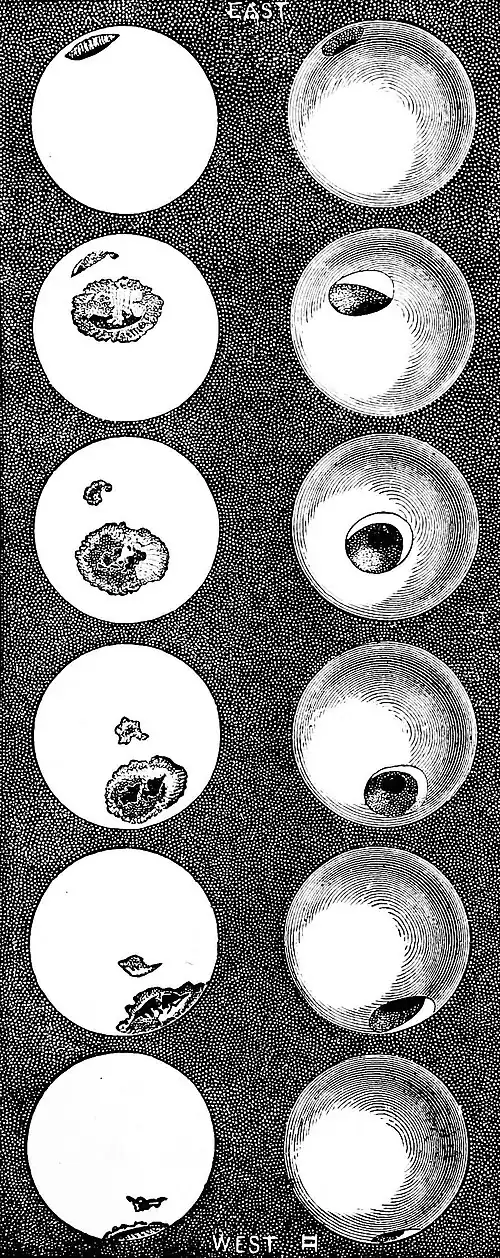 PSM V01 D155 Sun spots.jpg