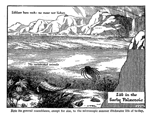 Life in the Early Palaeozoic