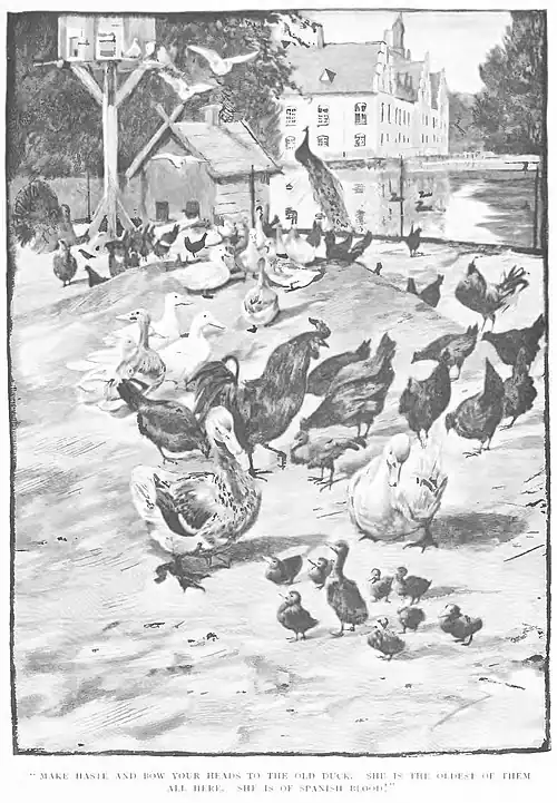 "MAKE HASTE AND BOW YOUR HEADS TO THE OLD DUCK. SHE IS THE OLDEST OF THEM ALL HERE. SHE IS OF SPANISH BLOOD!"