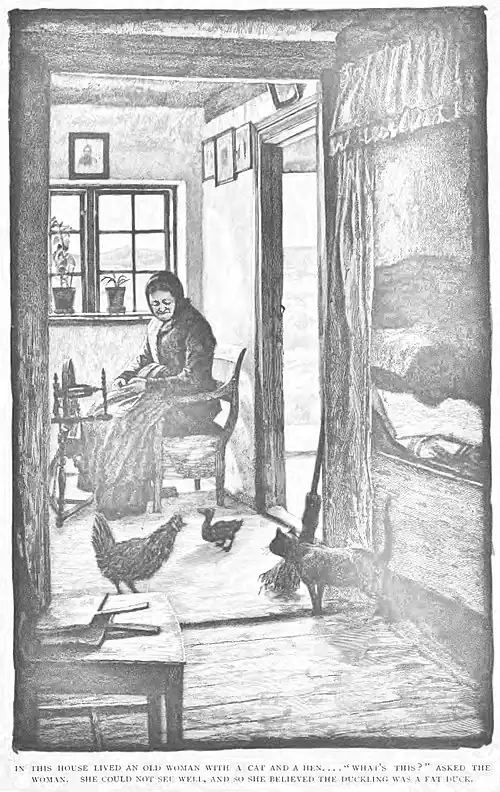 IN THIS HOUSE LIVED AN OLD WOMAN WITH A CAT AND A HEN...."WHAT'S THIS?" ASKED THE WOMAN. SHE COULD NOT SEE WELL, AND SO SHE BELIEVED THE DUCKLING WAS A FAT DUCK.