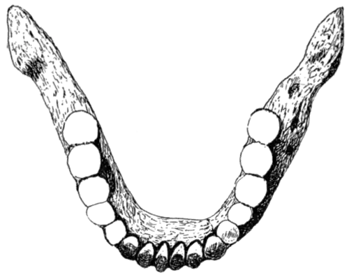 Palæolithic Man and Terramara Settlements in Europe, 0048a.png