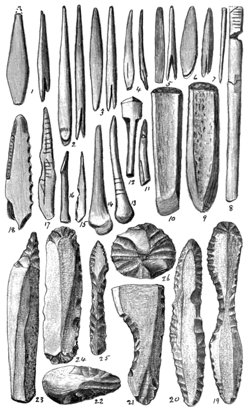 Palæolithic Man and Terramara Settlements in Europe, 0087.png