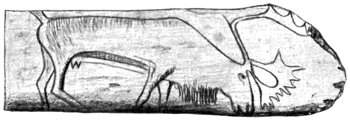 Palæolithic Man and Terramara Settlements in Europe, 0122a.png