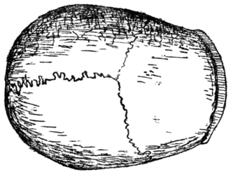 Palæolithic Man and Terramara Settlements in Europe, 0147.png