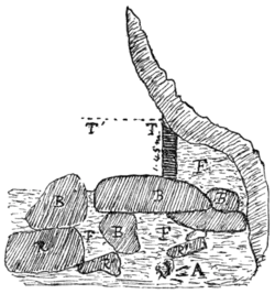 Palæolithic Man and Terramara Settlements in Europe, 0188.png