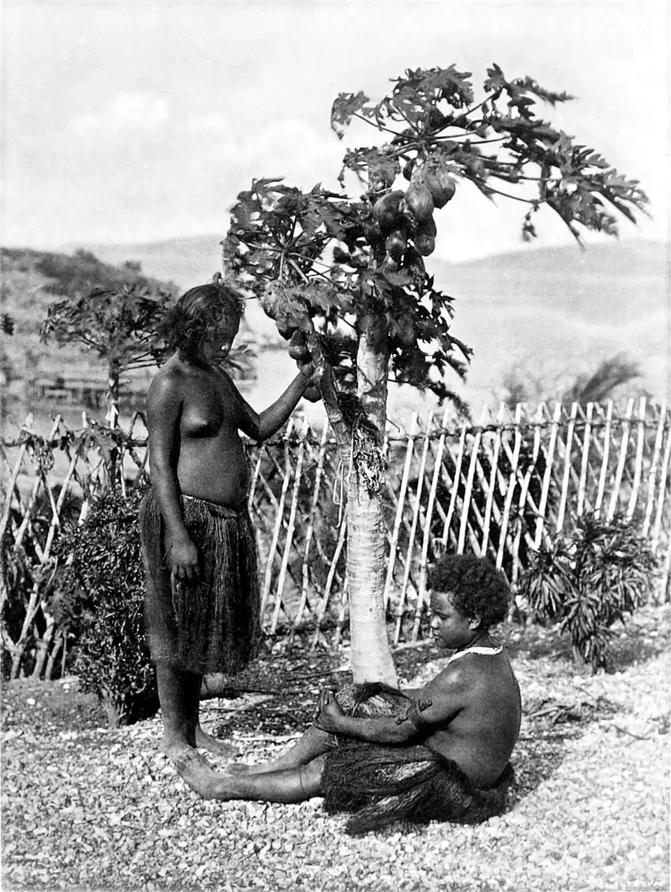 Black and white photograph of two nearly naked women beside a tree.