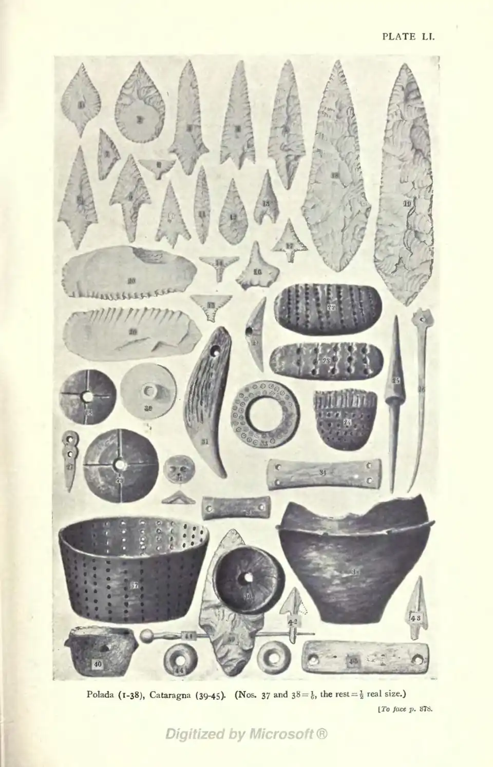 Polada (1-38), Cataragna (39-45)- (Nos. 37 and 38 = 1/6, the rest = ½ real size.) [To face p. 378.