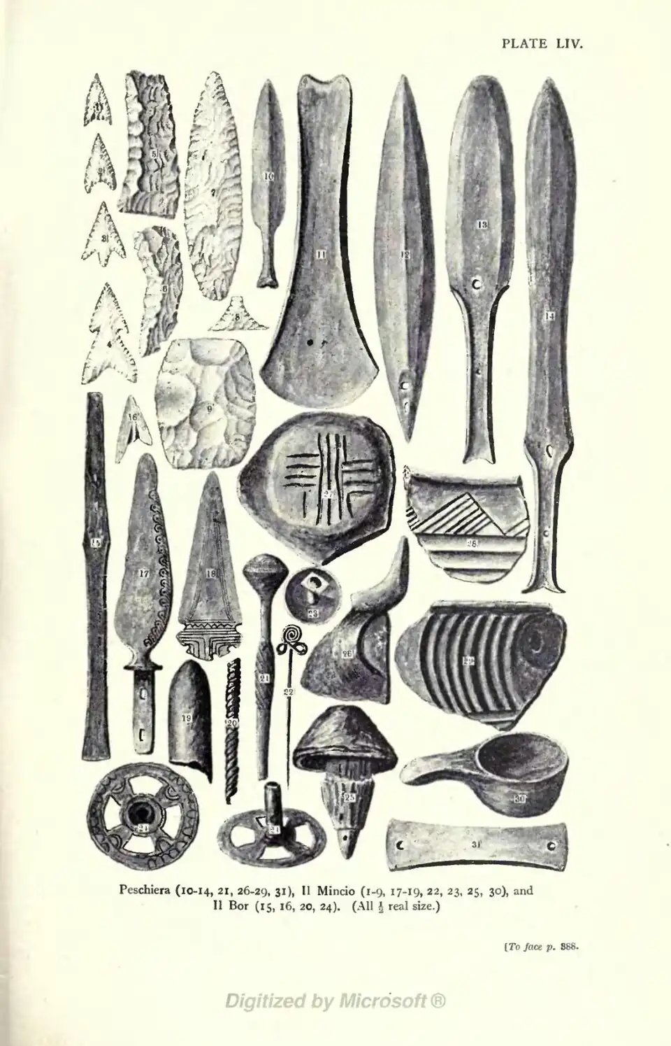 Peschiera (10-14, 21, 26-29, 31), Il Mincio (1-9, 17-19, 22, 23, 25, 30), and Il Bor (15, 16, 20, 24). (All ½ real size.) [To face p. 888.