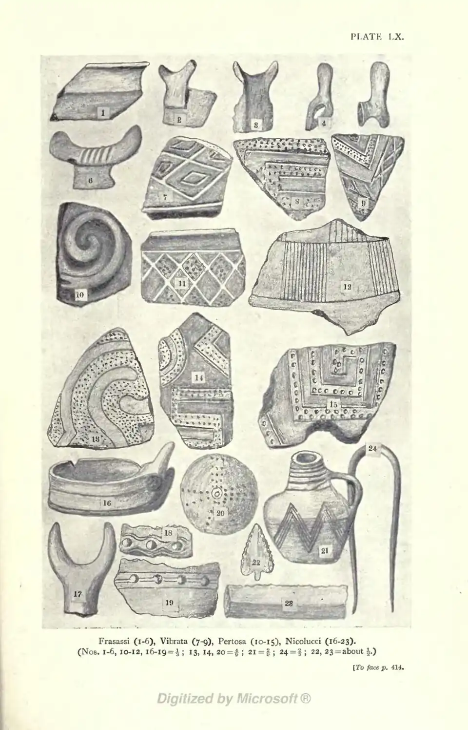 Frasassi (l-6), Vibrata (7-9), Pertosa (10-15), Nicolucci (16-23). (Nos. 1-6, 10-12, 16-19 = ⅓ ; 13,14,20 = 4/9 ; 21 = 2/9; 24 = ⅔; 22, 23 = about ½.) To face p. 414.