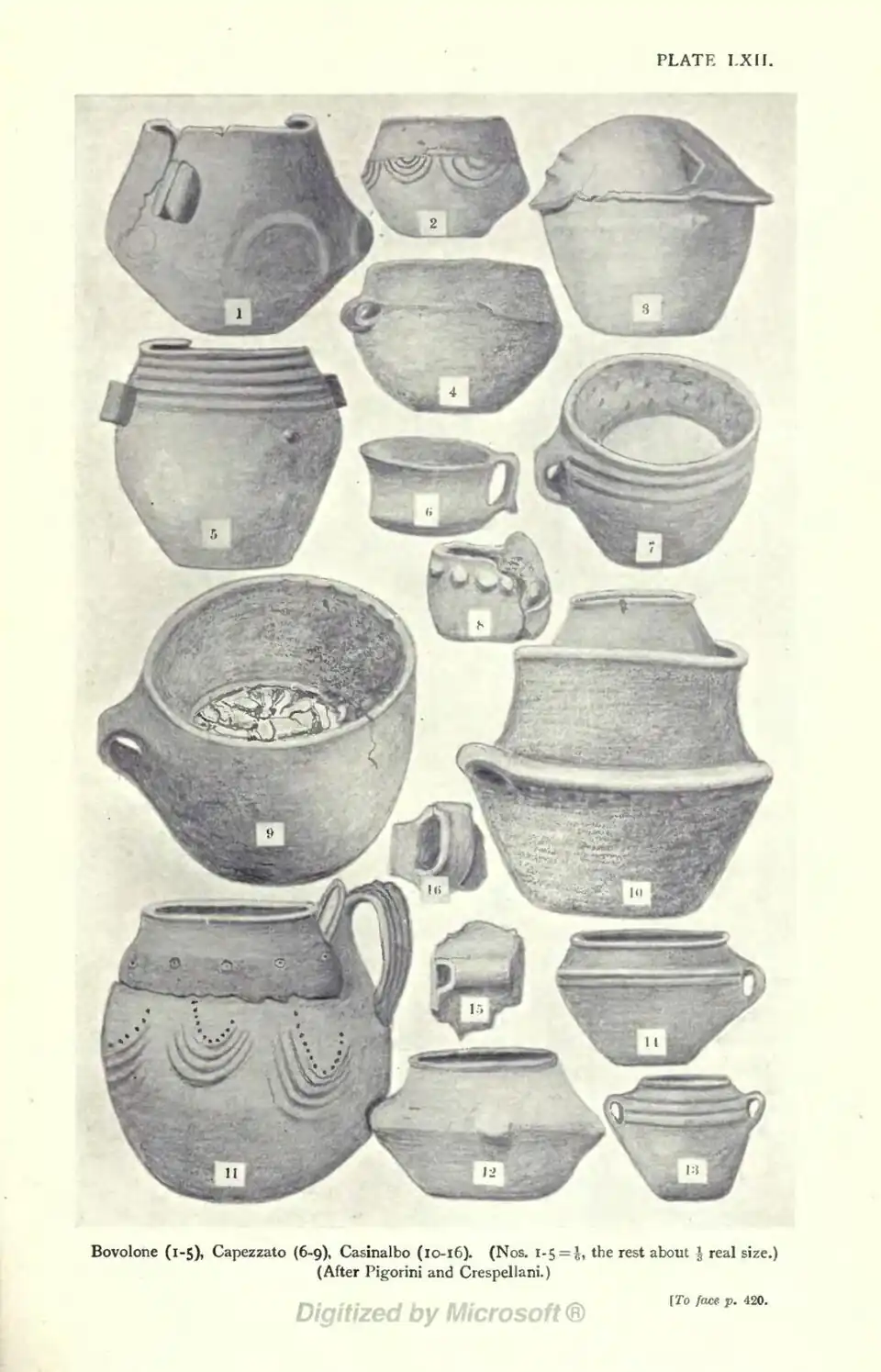 Bovolone (1-5), Capezzato (6-9), Casinalbo (10-16). (Nos. 1-5 = 1/6, the rest about ⅓ real size.) (After Pigorini and Crespellani.) [To face p. 420.