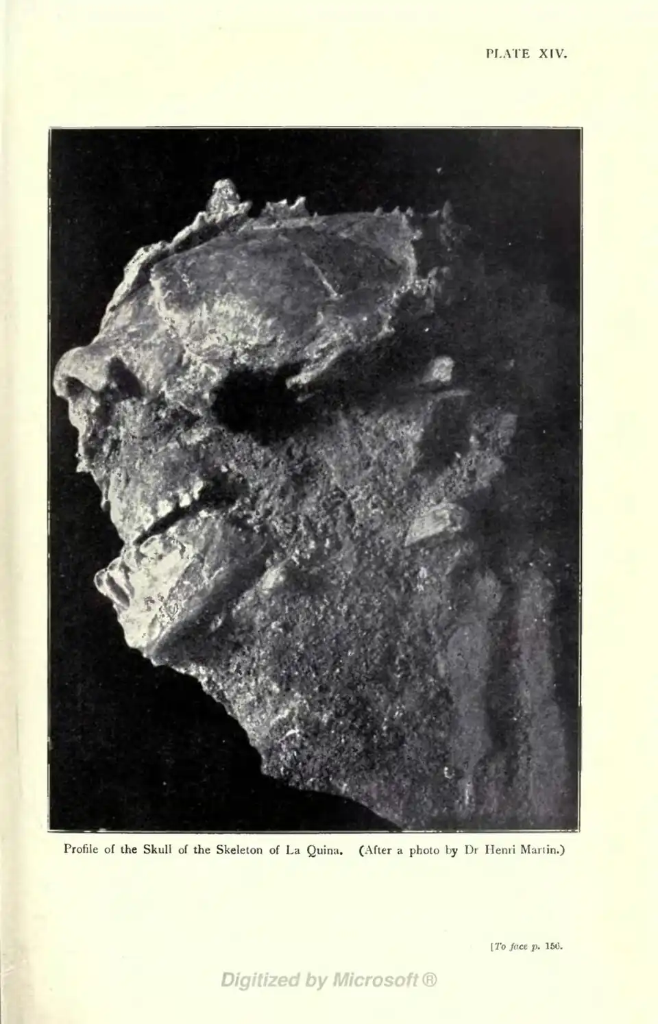 Profile of the Skull of the Skeleton of La Quina. (After a photo by Dr Henri Martin.) [To face p. 150.