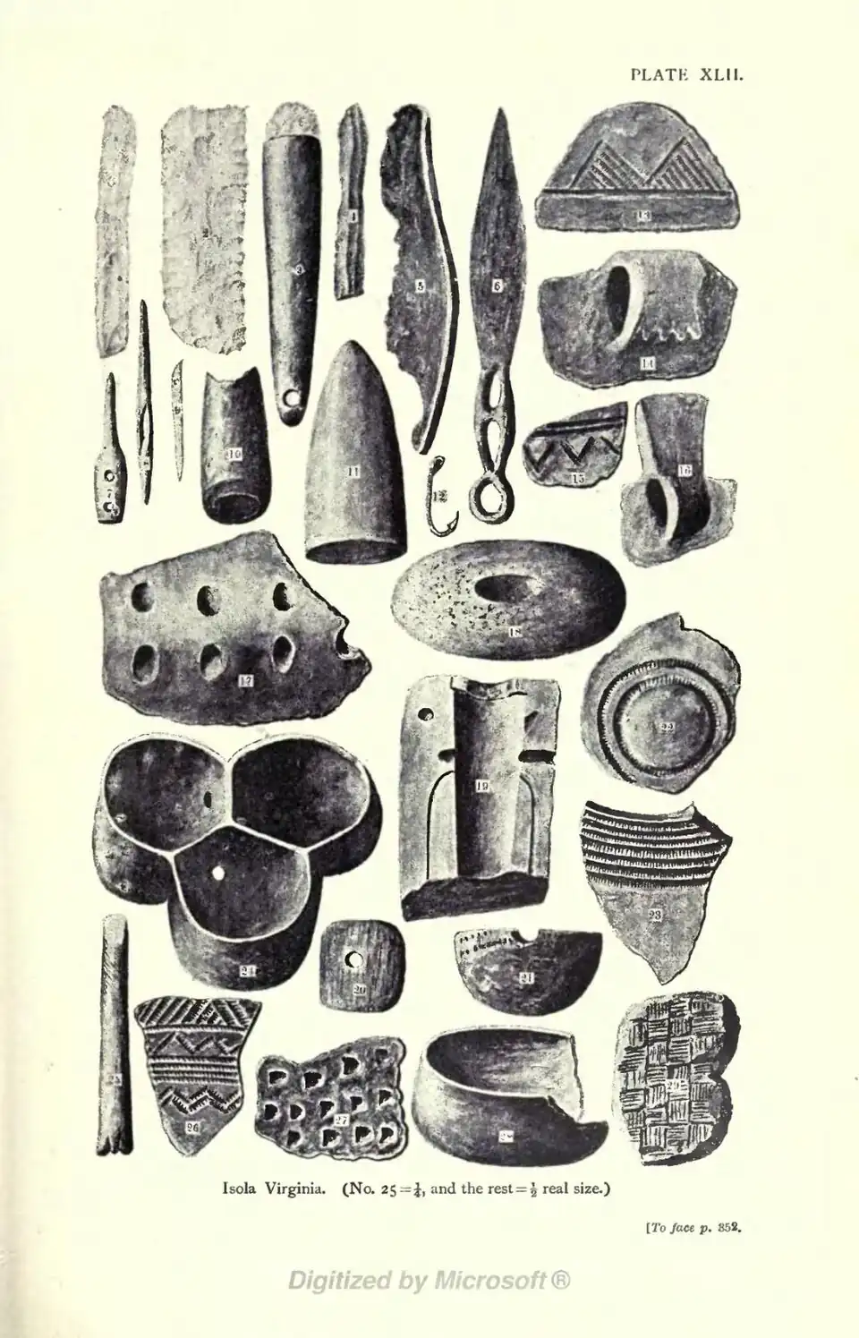 Isola Virginia. (No. 25 = ¼, and the rest = ½ real size.) [To face p. 352.