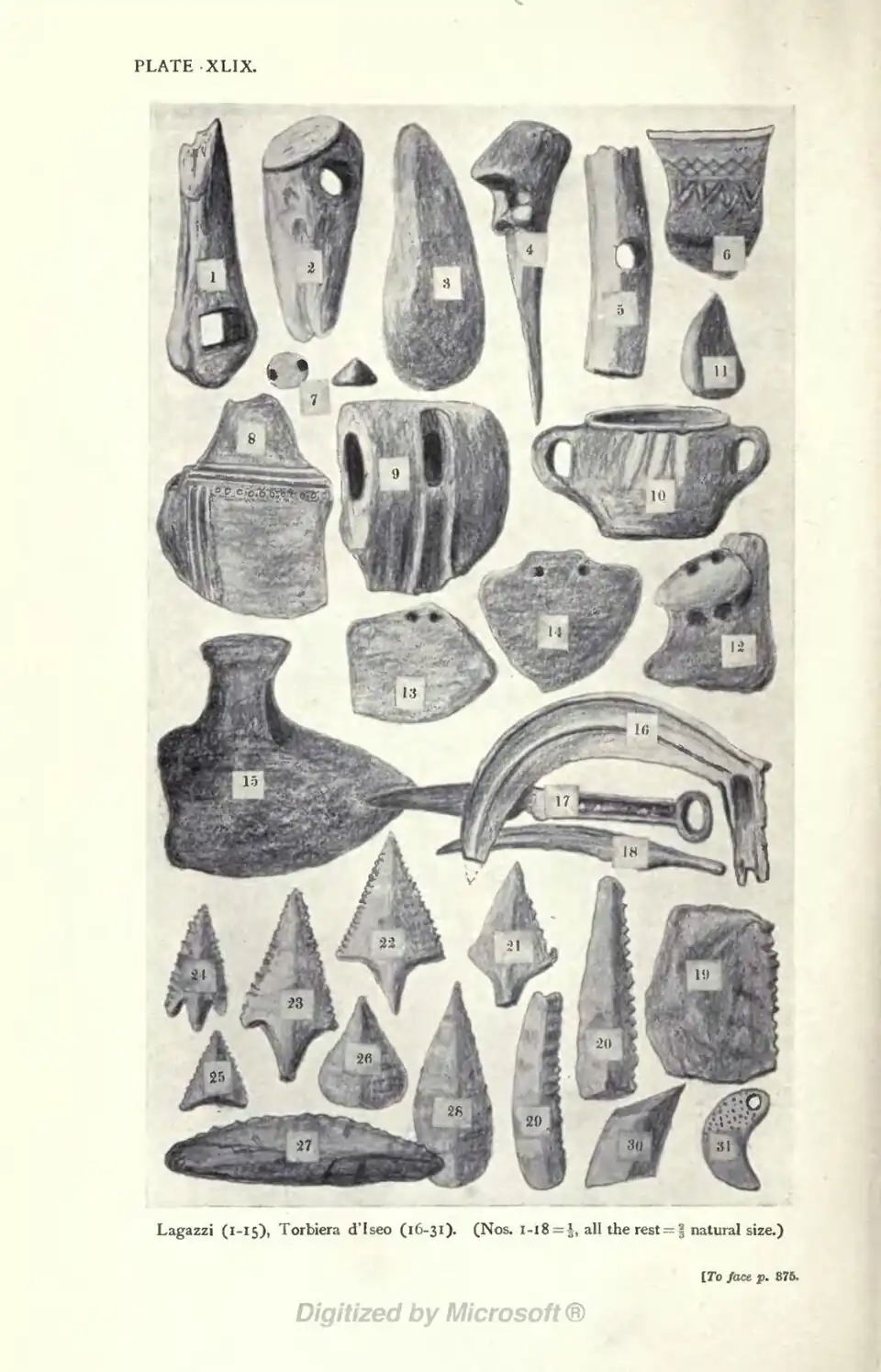 Lagazzi (1-15), Torbiera d'Iseo (16-31). (Nos. 1-18 = ⅓, all the rest = ⅔ natural size.) [To face p. 875.