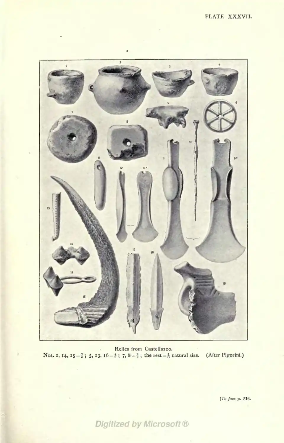Relics from Castellazzo. Nos. I, 14, 15 = ⅔ ; 5, 13, l6 = 4/9; 7, 8 = 2/9 ; the rest = ⅓ natural size. (After Pigorini.) [To face p. 316.